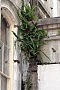 Thumbs/tn_IMG_4732.jpg