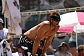 Thumbs/tn_IMG_0804.jpg