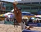 Thumbs/tn_IMG_0809.jpg